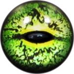 Taxidermy Frog Eyes 9