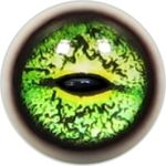 Taxidermy Frog Eyes 9b