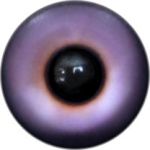 Taxidermy Universal Eyes U17.2